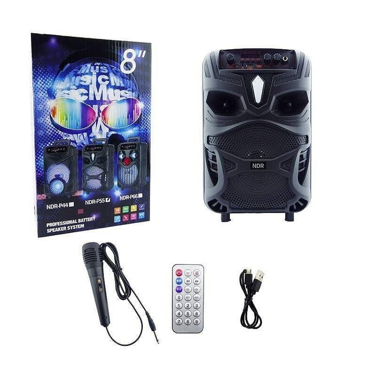 اسپیکر شارژی مدل ndr p55